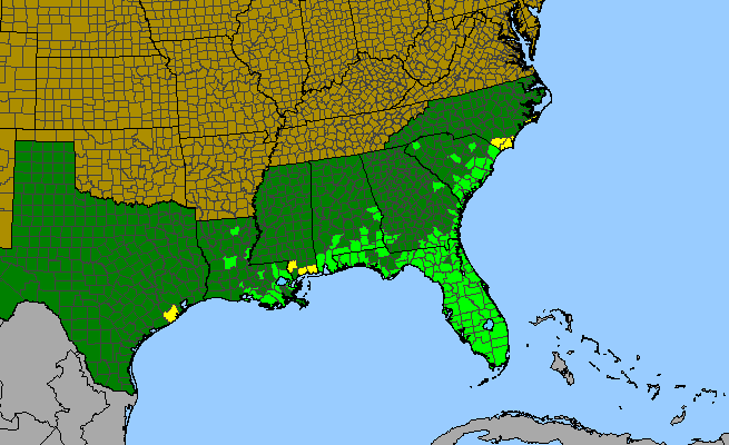 The range of Ilex cassine